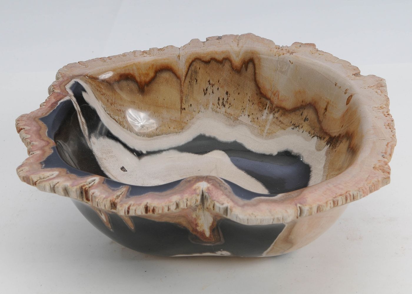 Schaal versteend hout 60010