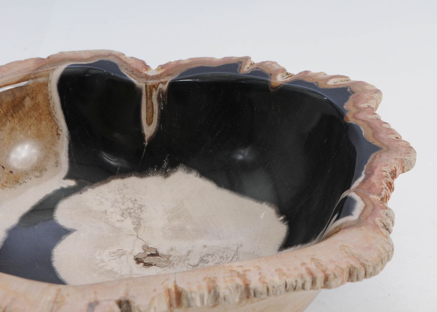 Schaal versteend hout 60010 - Afbeelding 3