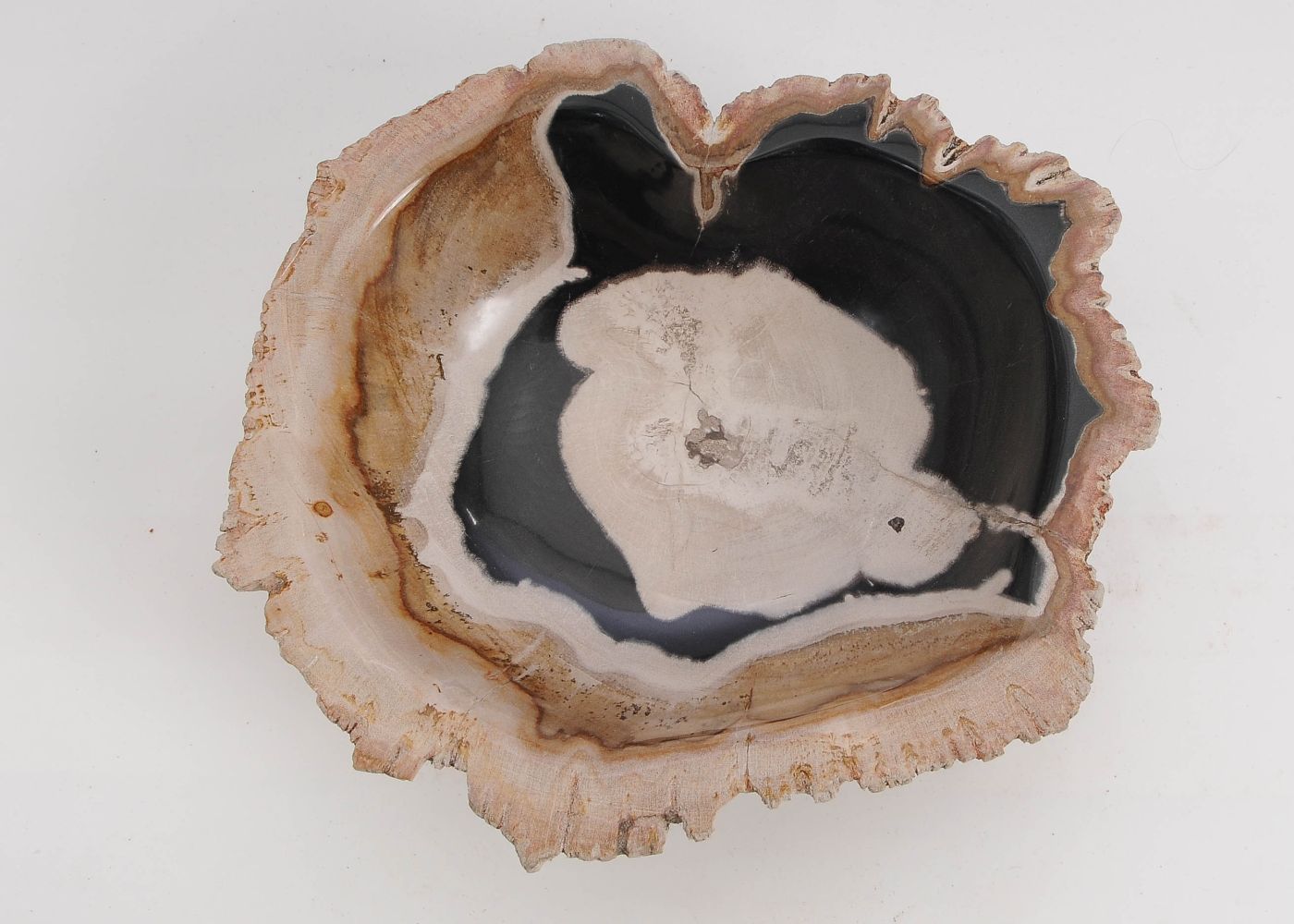 Schaal versteend hout 60010 - Afbeelding 4