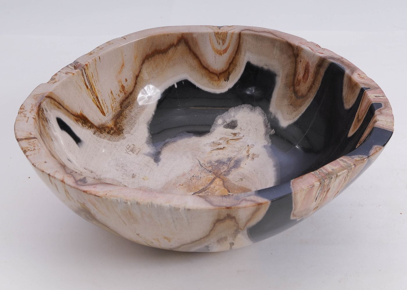 Schaal versteend hout 60011