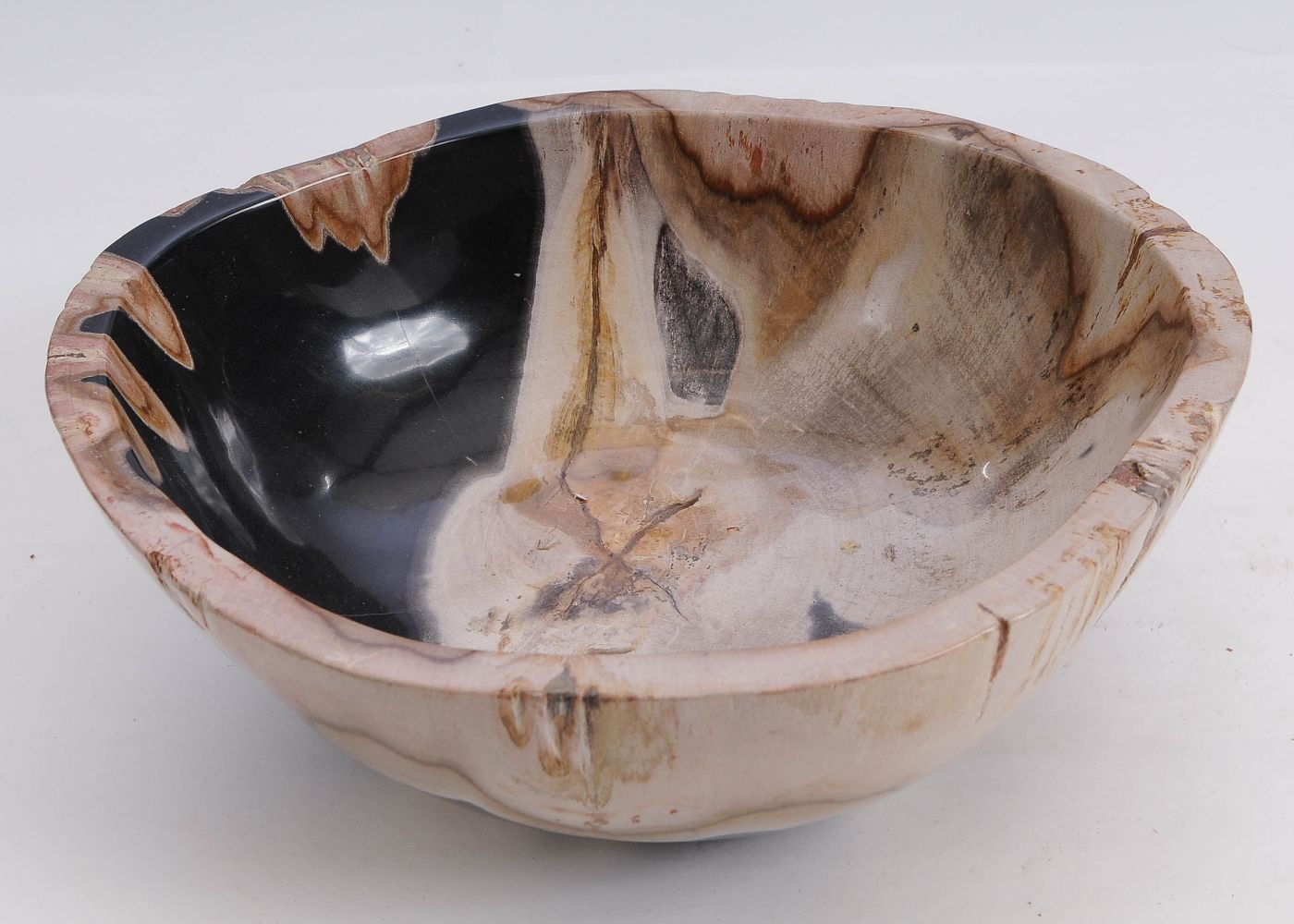 Schaal versteend hout 60011 - Afbeelding 2