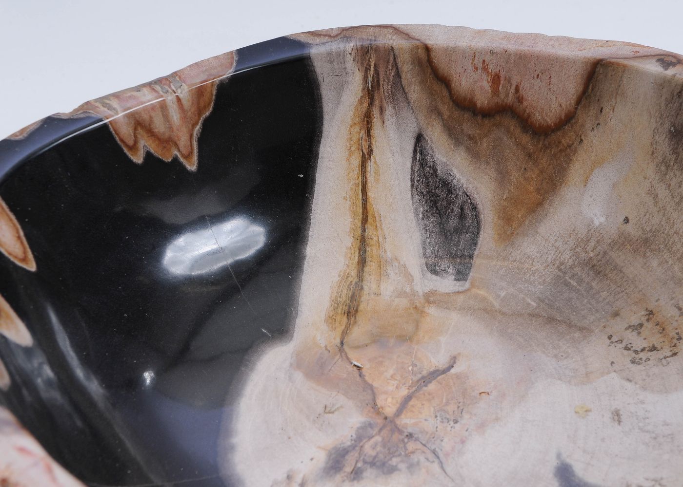 Schaal versteend hout 60011 - Afbeelding 3