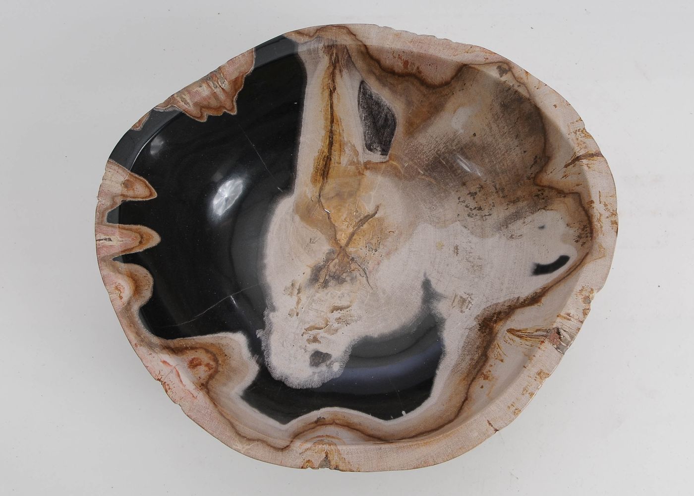 Schaal versteend hout 60011 - Afbeelding 4