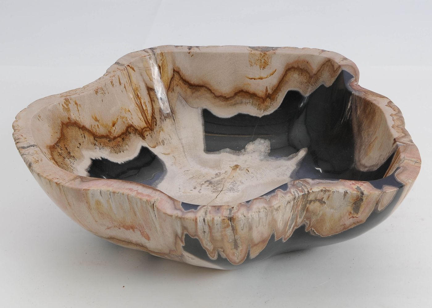 Schaal versteend hout 60012