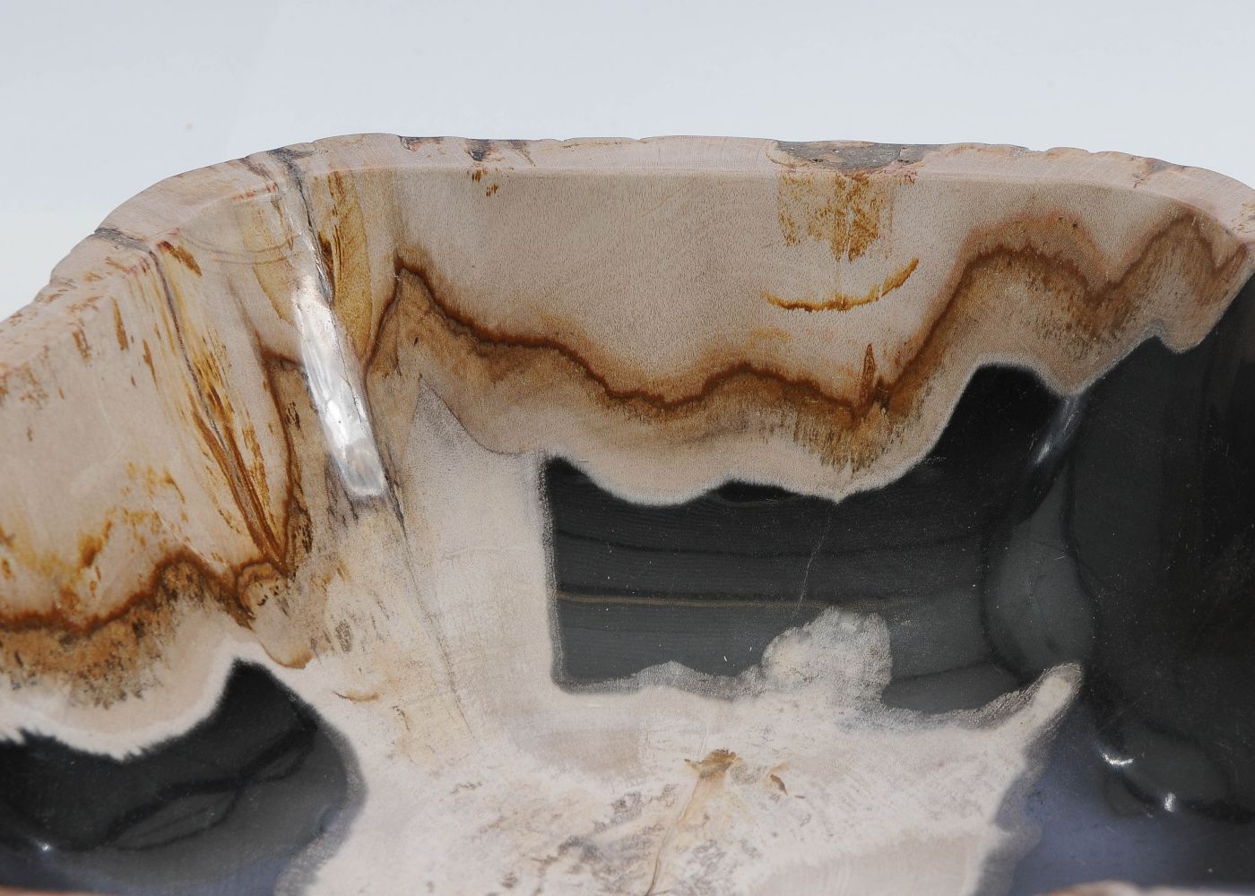 Schaal versteend hout 60012 - Afbeelding 2