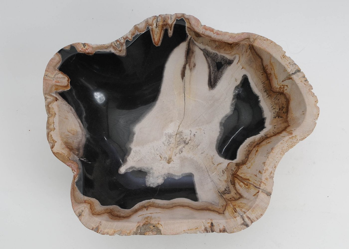 Schaal versteend hout 60012 - Afbeelding 3