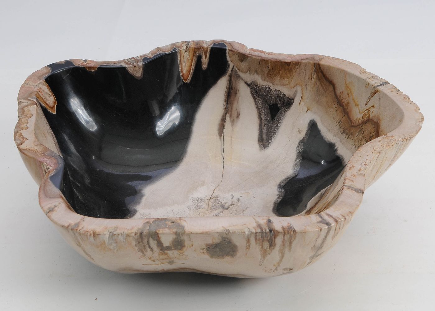 Schaal versteend hout 60012 - Afbeelding 5