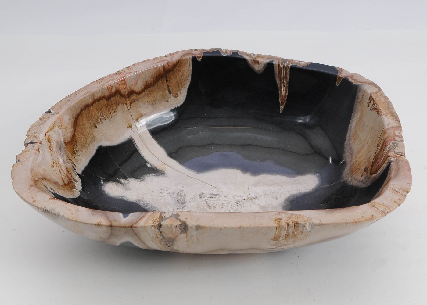 Schaal versteend hout 60013