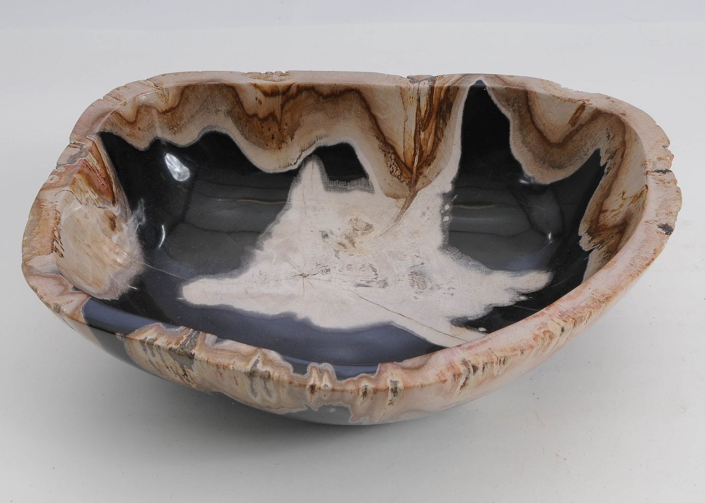 Schaal versteend hout 60013 - Afbeelding 2