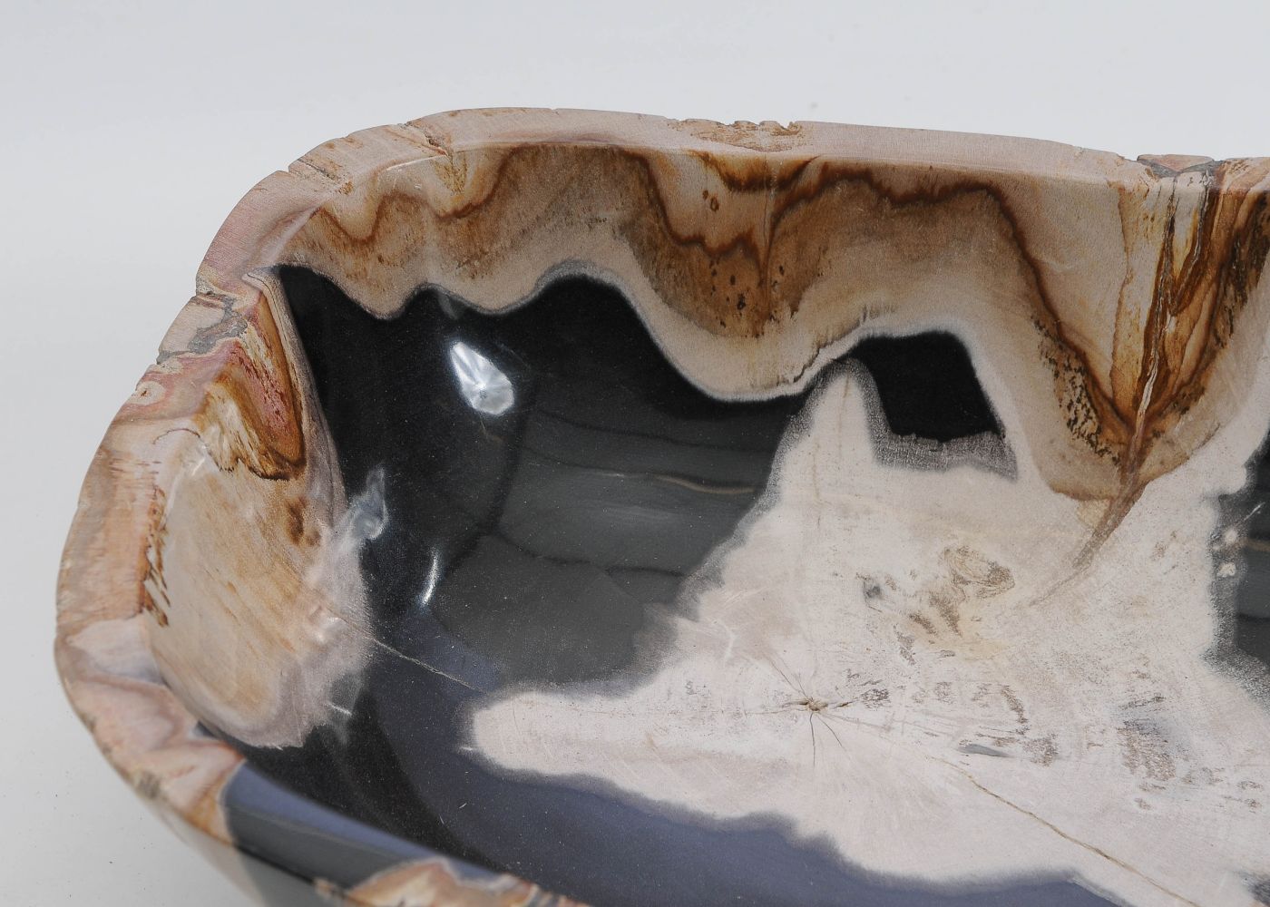 Schaal versteend hout 60013 - Afbeelding 3