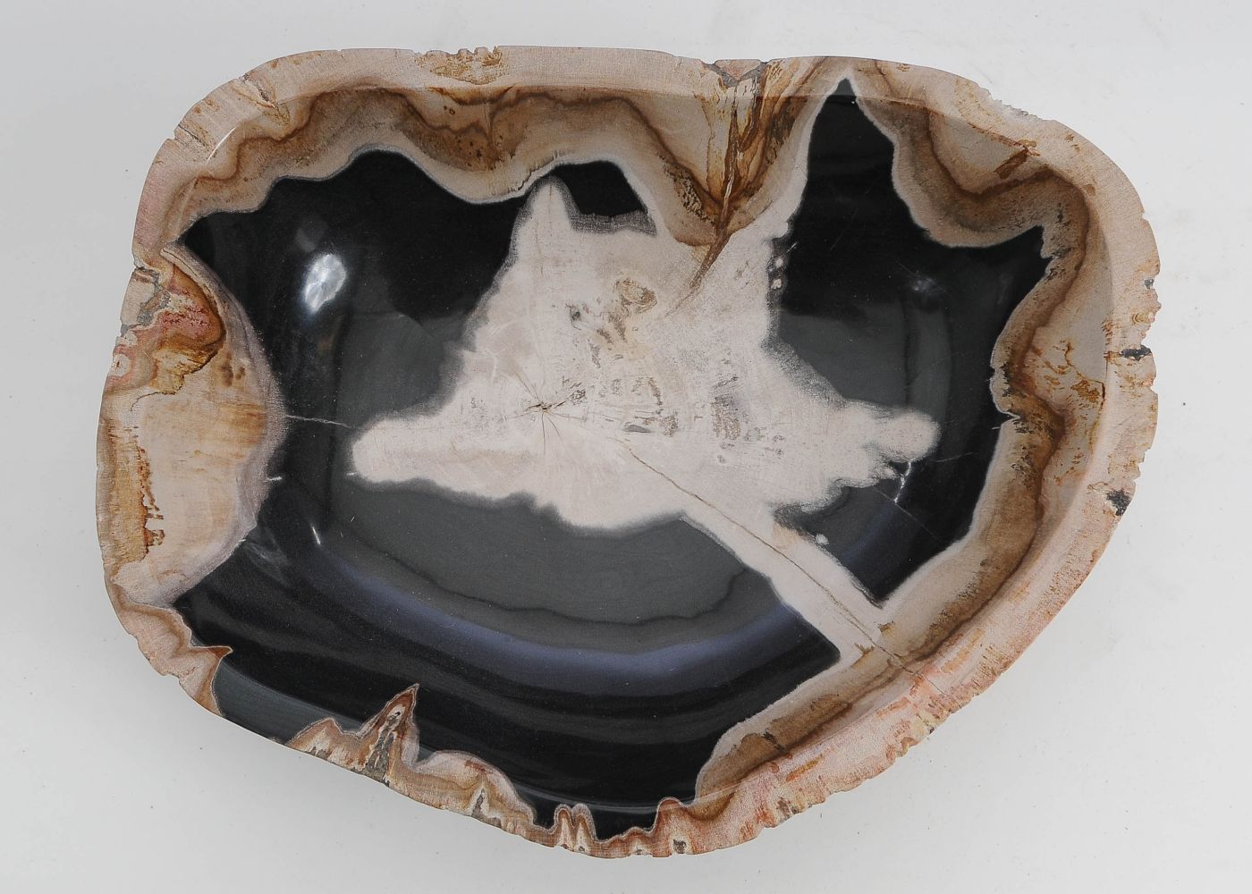 Schaal versteend hout 60013 - Afbeelding 4