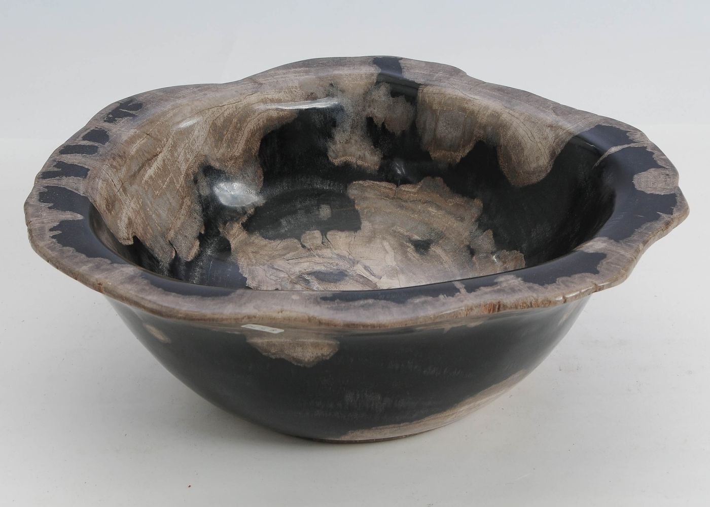 Schaal versteend hout 60016