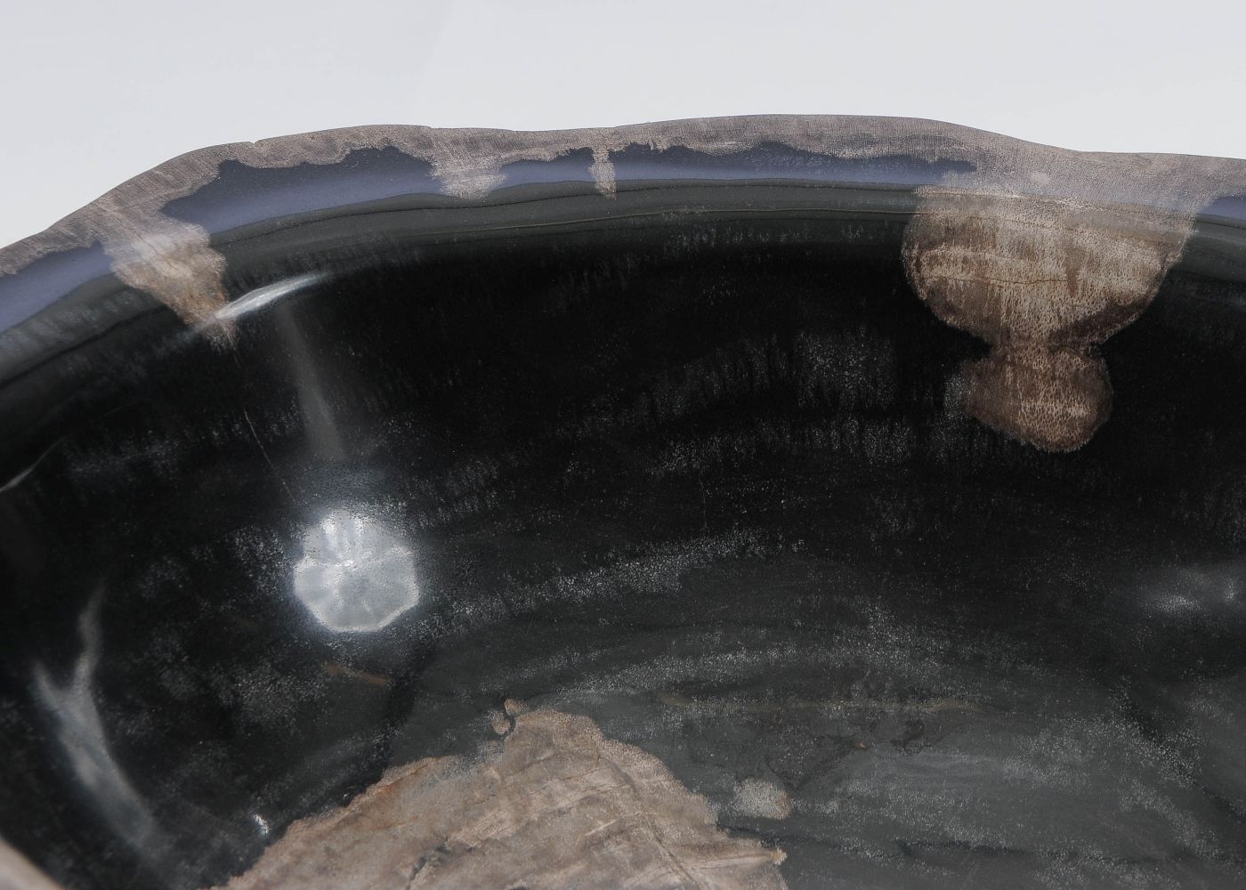 Schaal versteend hout 60016 - Afbeelding 3