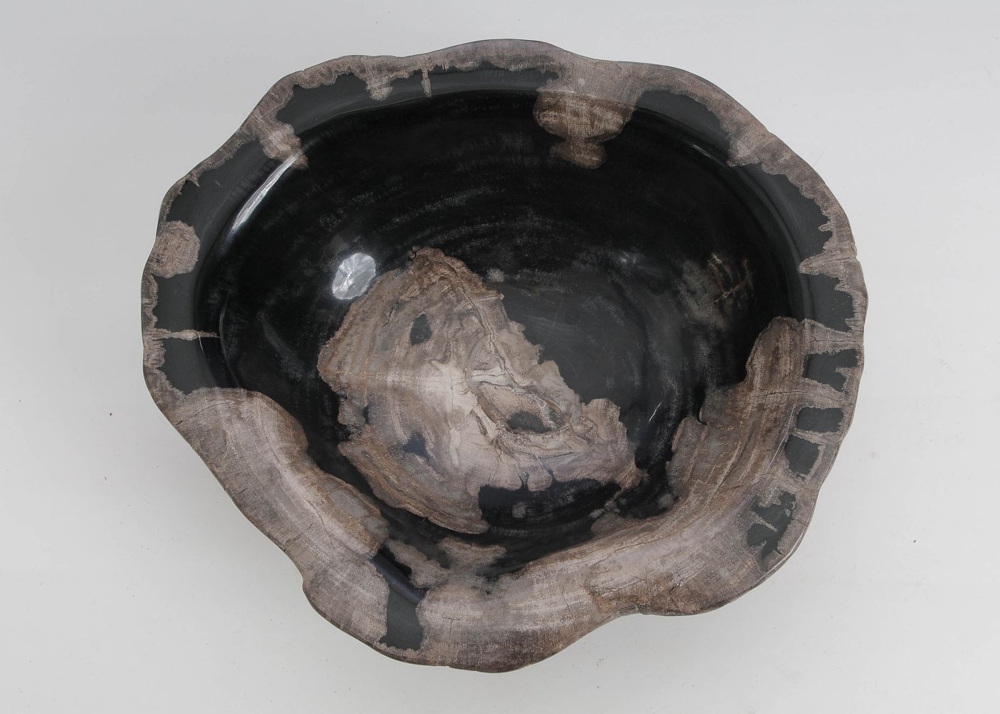Schaal versteend hout 60016 - Afbeelding 4