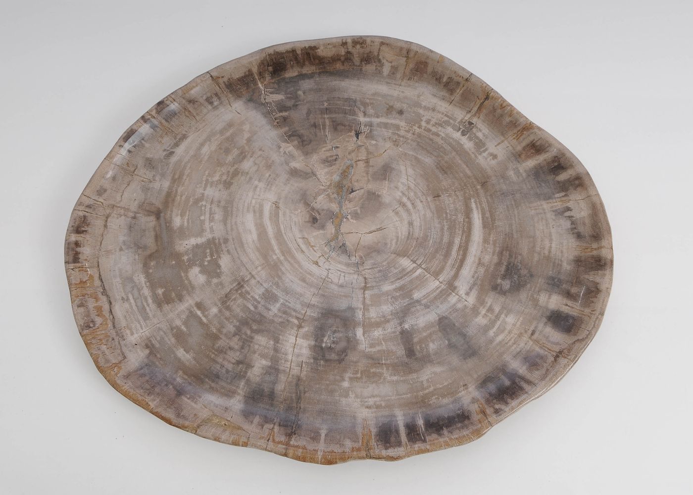 Bord versteend hout 60026