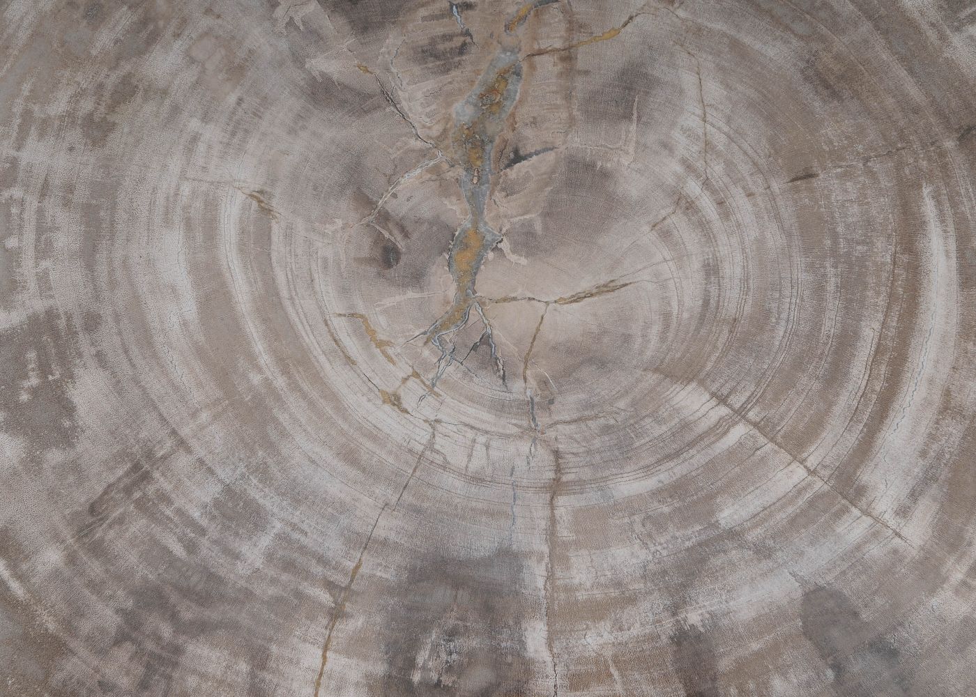 Bord versteend hout 60026 - Afbeelding 2