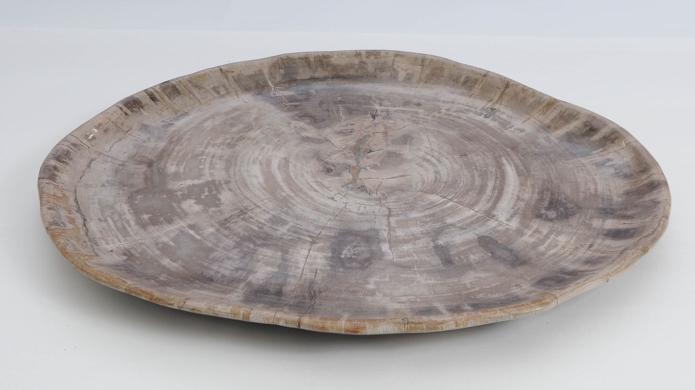 Bord versteend hout 60026 - Afbeelding 3