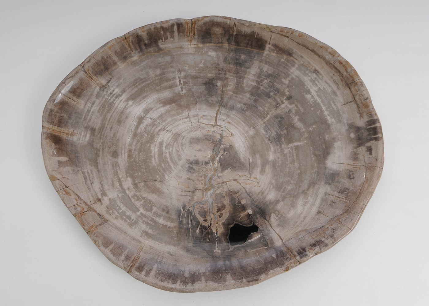 Bord versteend hout 60027