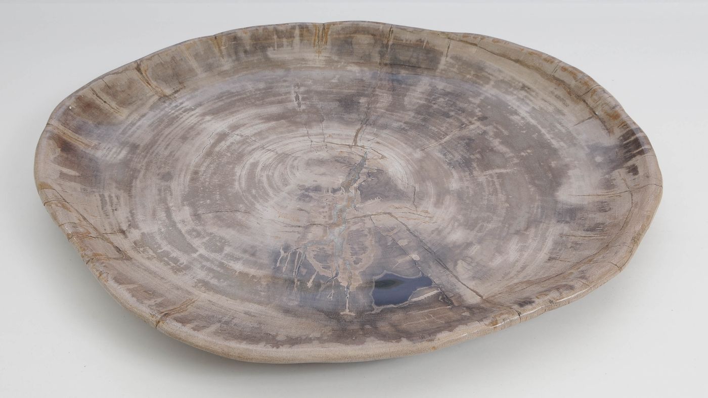 Bord versteend hout 60027 - Afbeelding 3