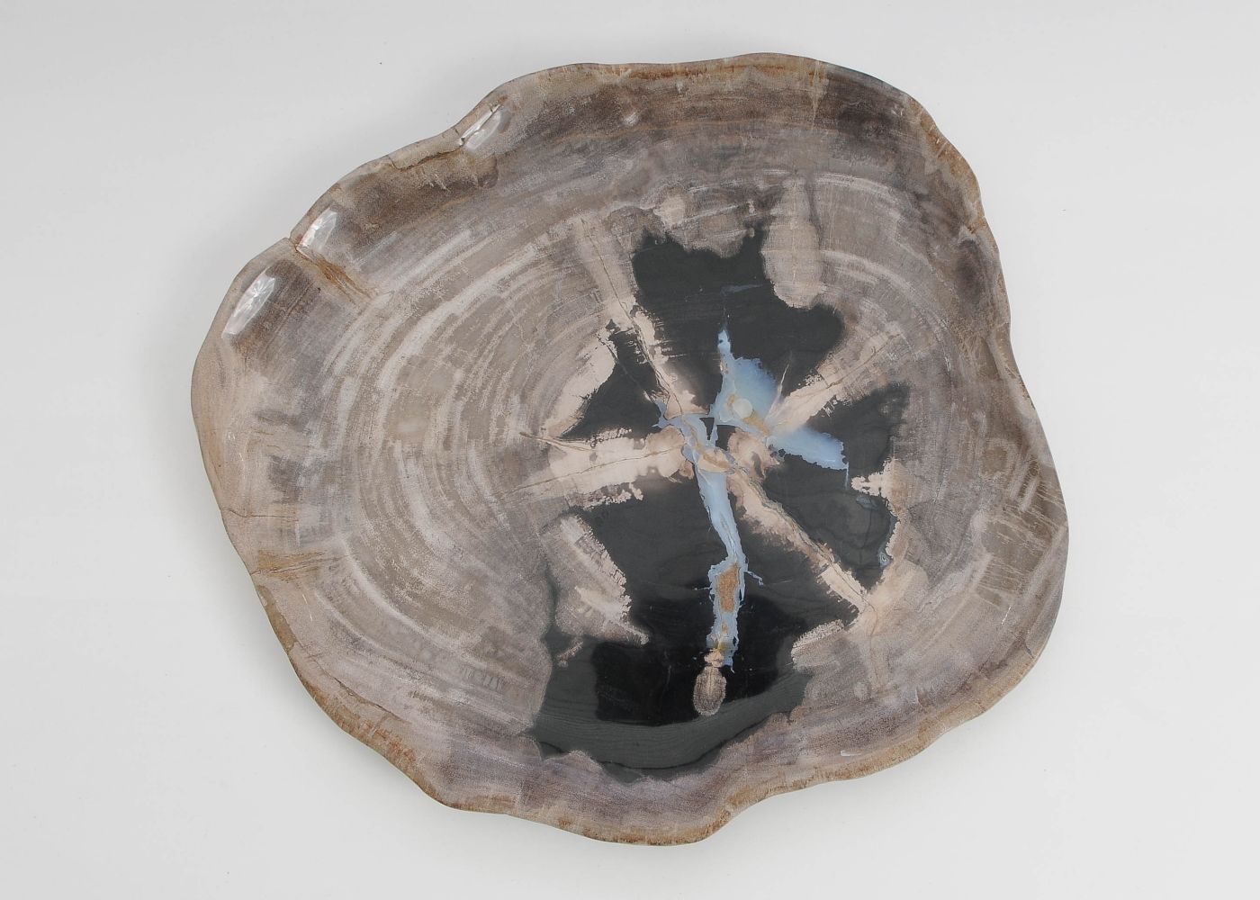 Bord versteend hout 60031