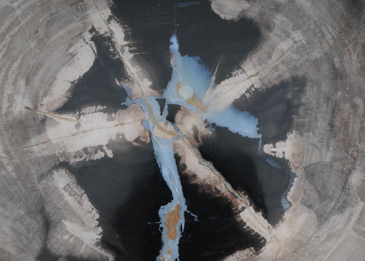 Bord versteend hout 60031 - Afbeelding 2