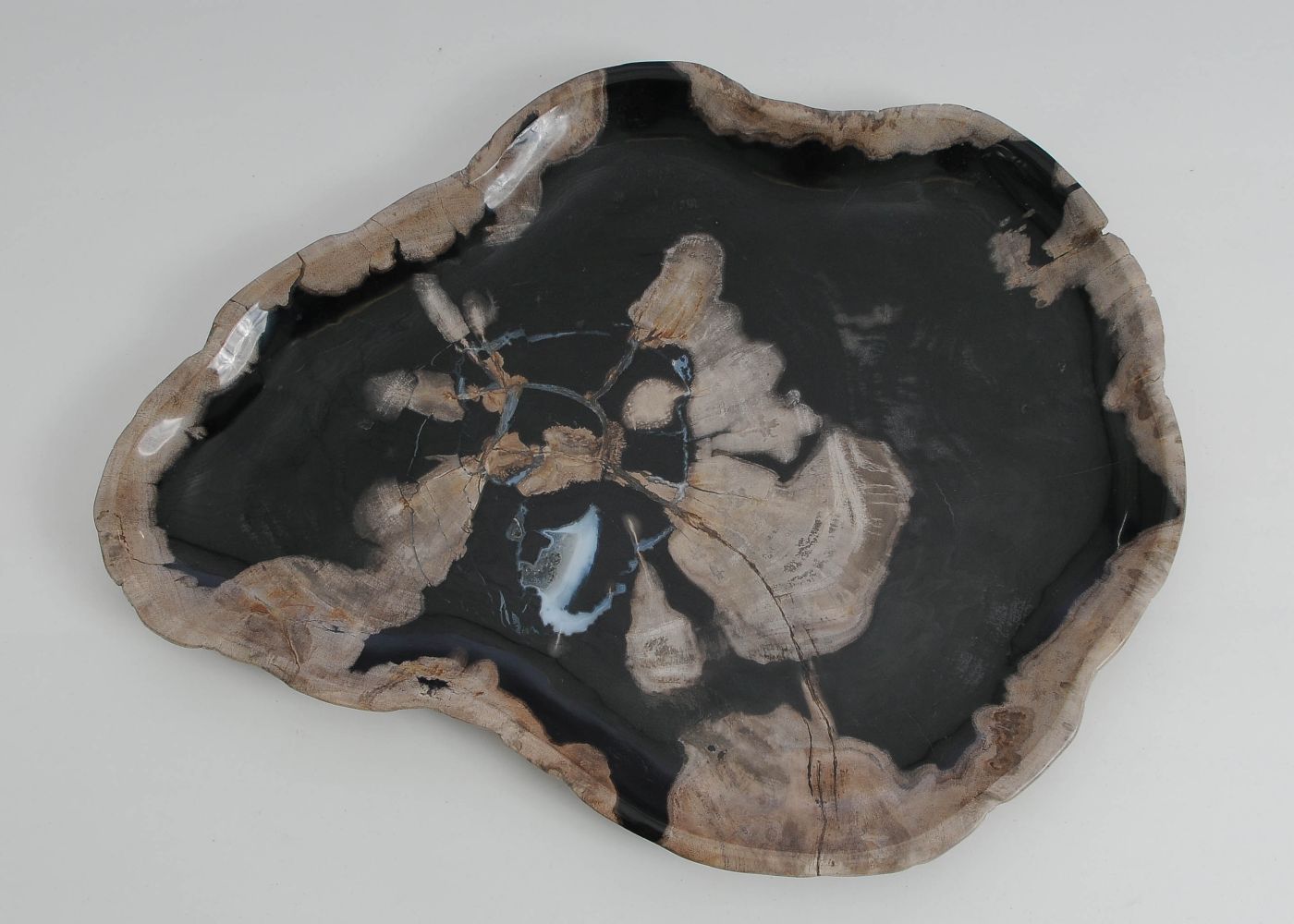 Bord versteend hout 60130