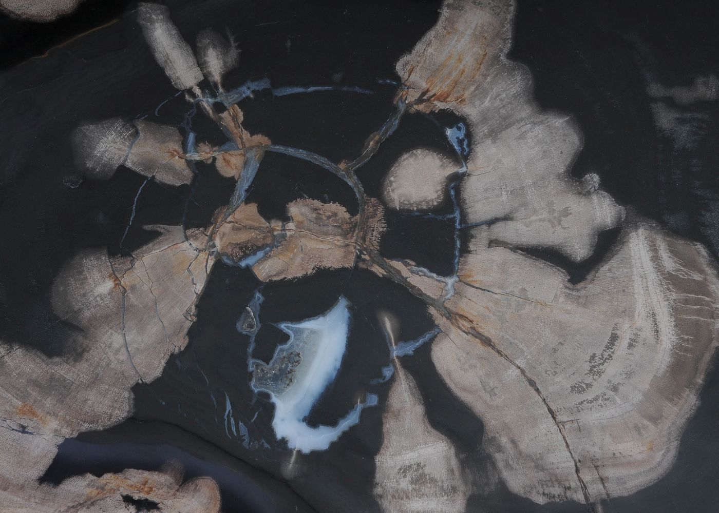 Bord versteend hout 60130 - Afbeelding 2