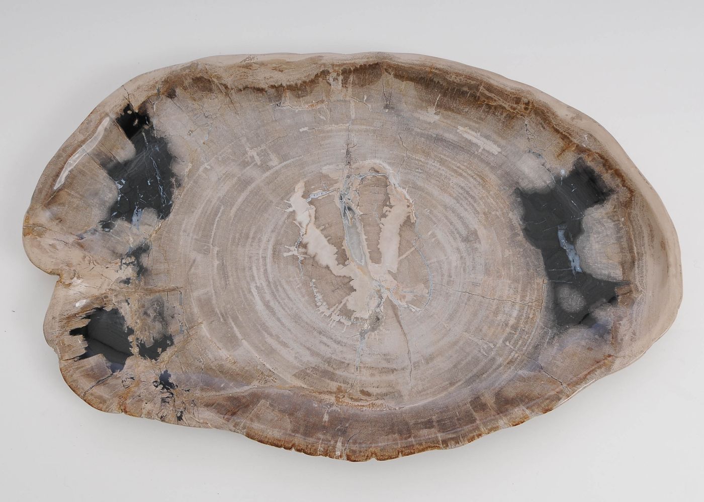 Bord versteend hout 60133