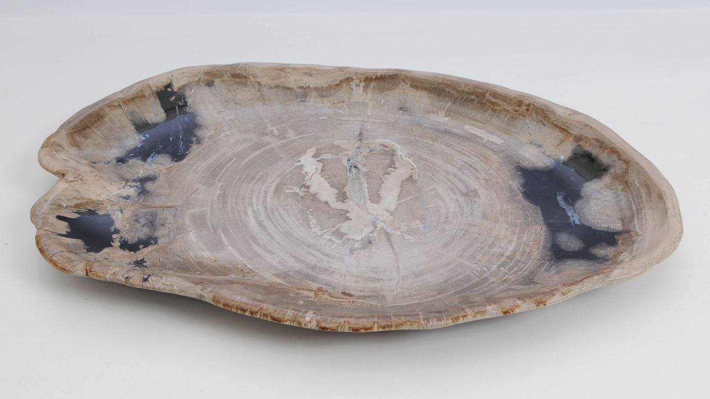 Bord versteend hout 60133 - Afbeelding 3