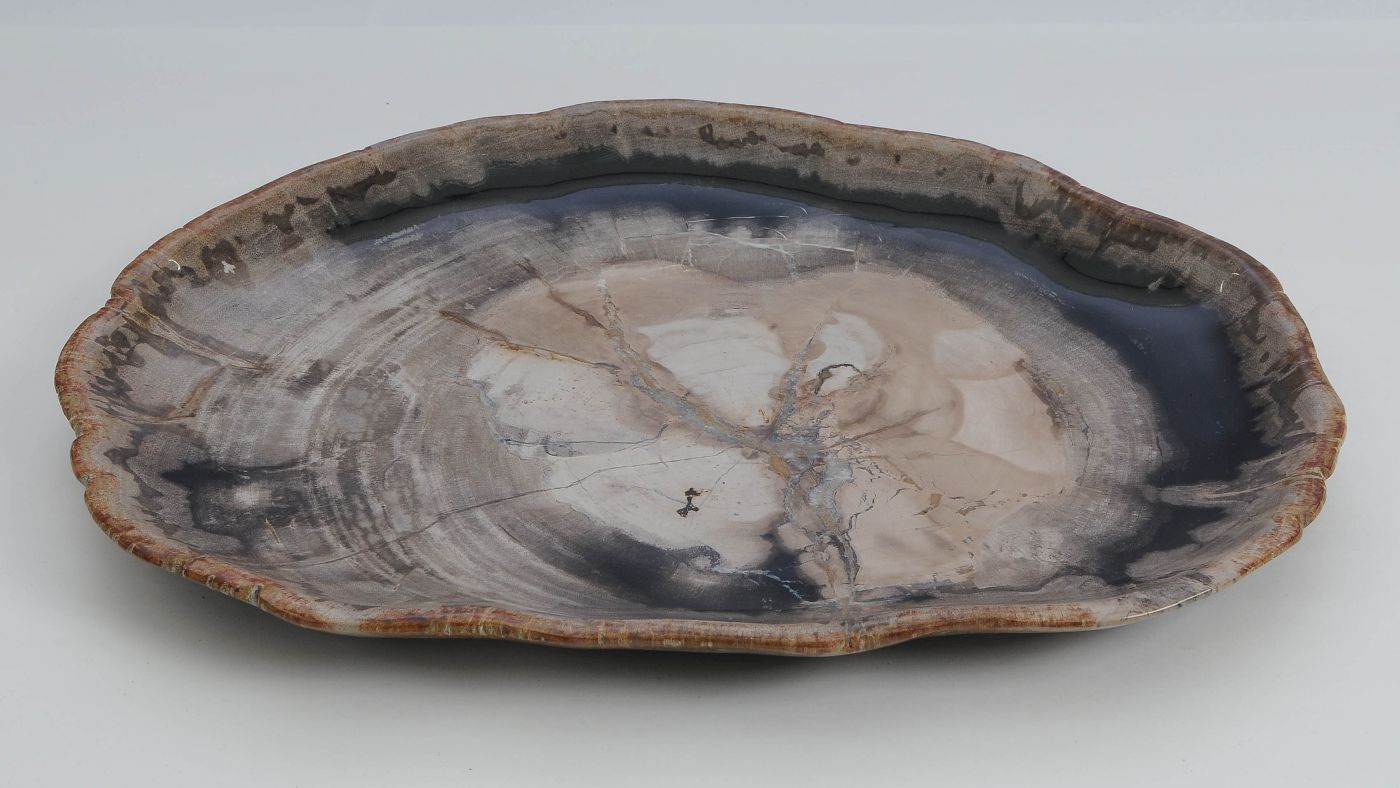 Bord versteend hout 60134 - Afbeelding 3