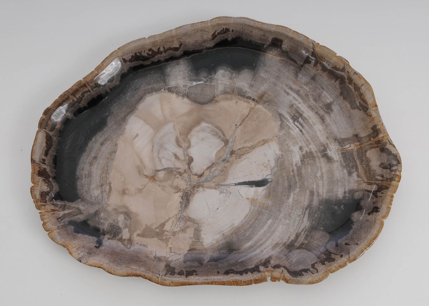 Bord versteend hout 60135