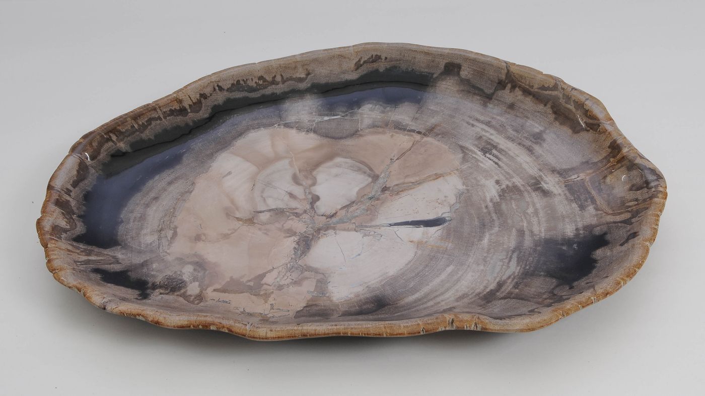 Bord versteend hout 60135 - Afbeelding 2