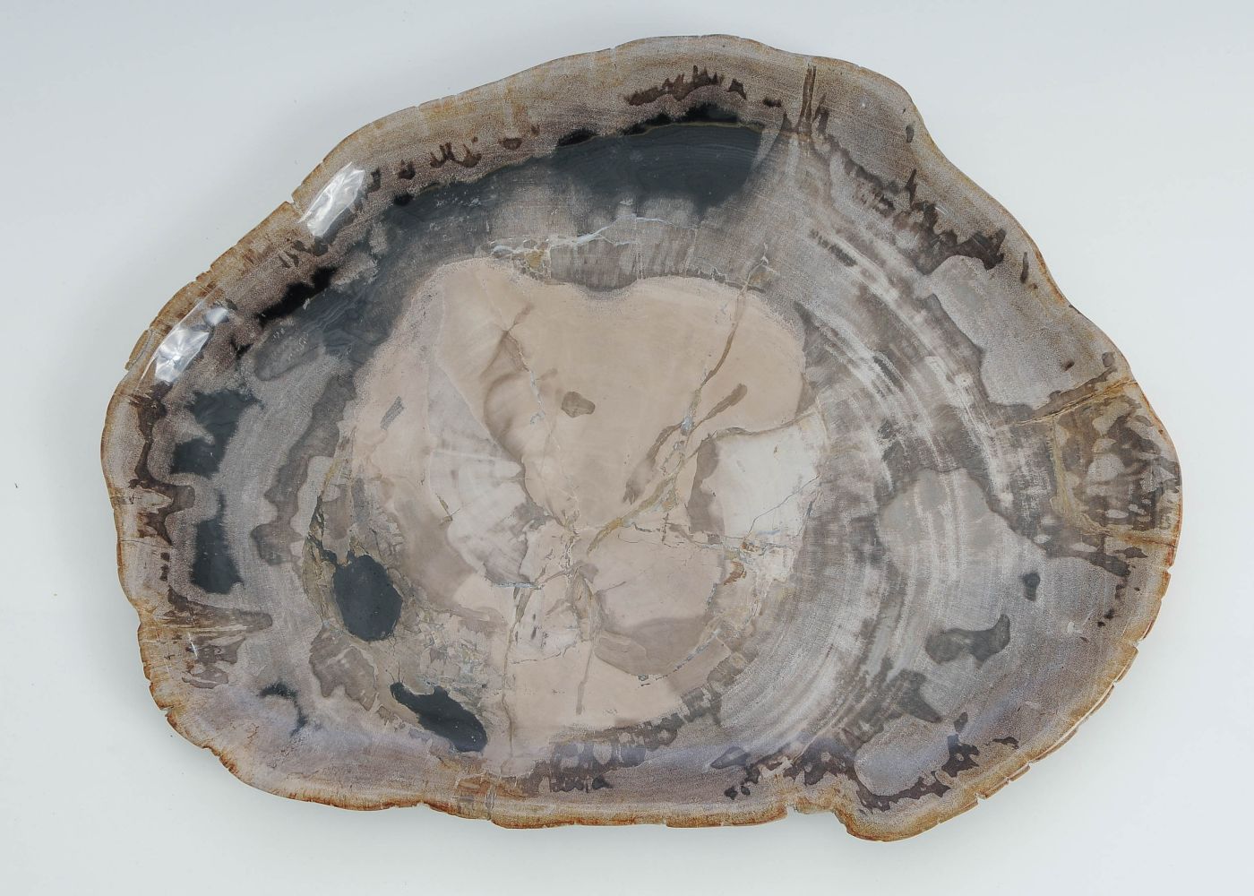 Bord versteend hout 60137