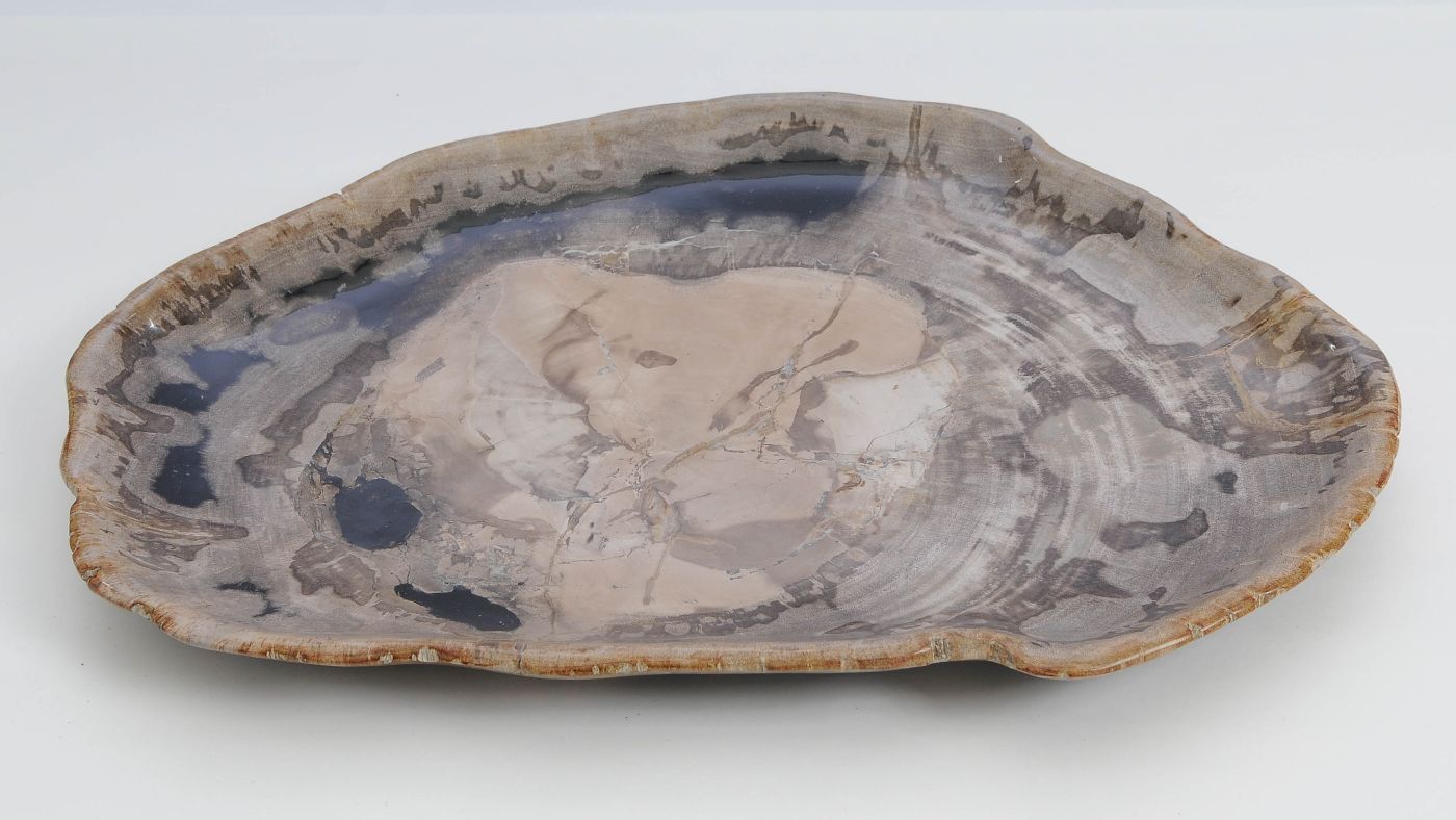 Bord versteend hout 60137 - Afbeelding 3