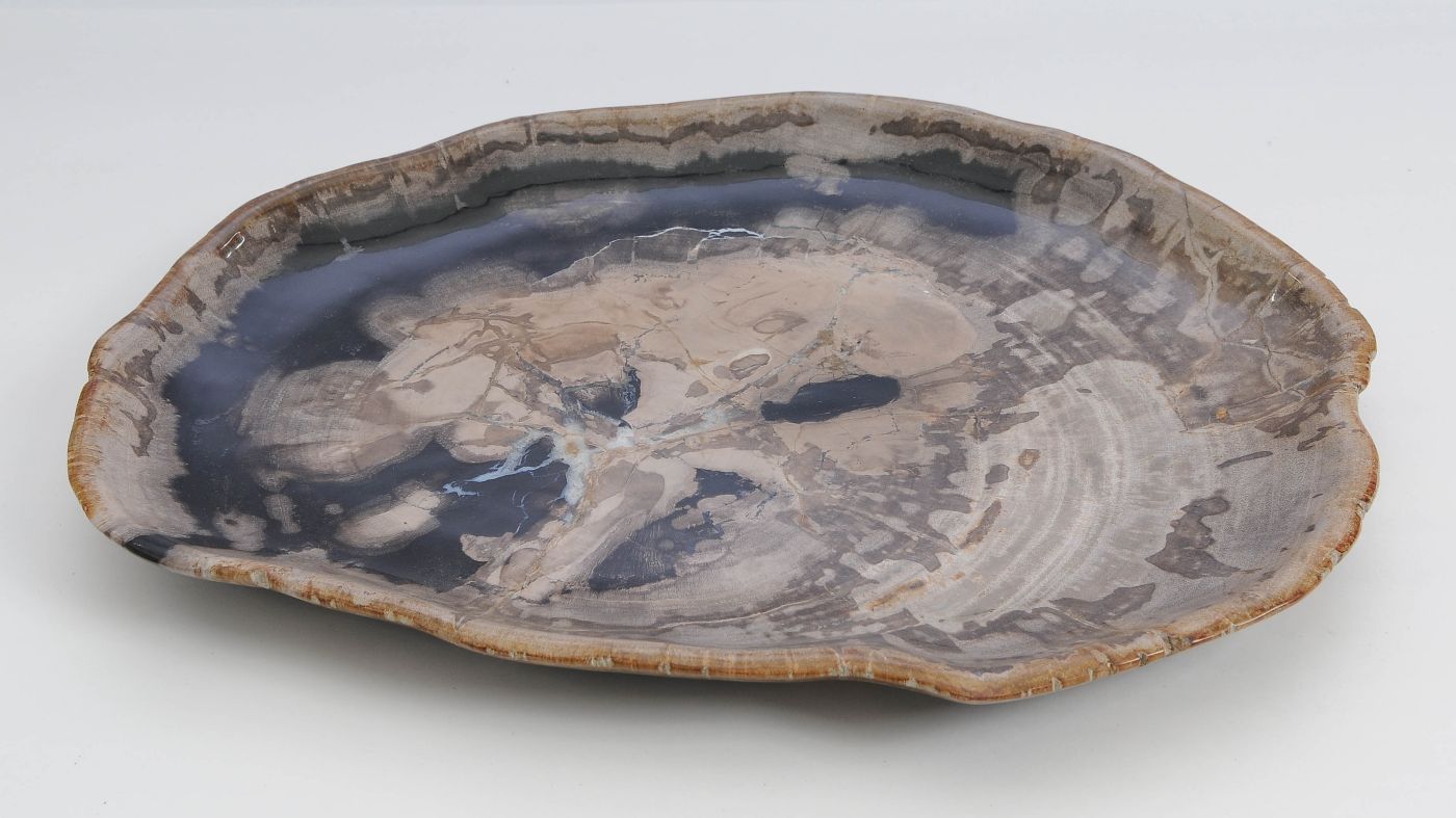 Bord versteend hout 60138 - Afbeelding 3