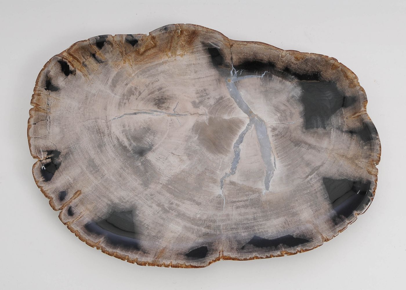 Bord versteend hout 60140