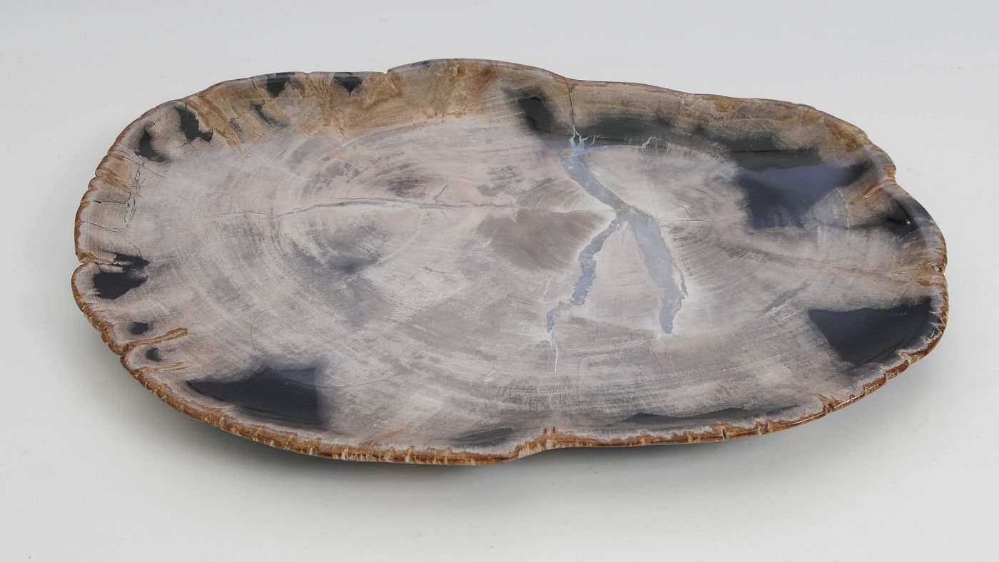 Bord versteend hout 60140 - Afbeelding 3