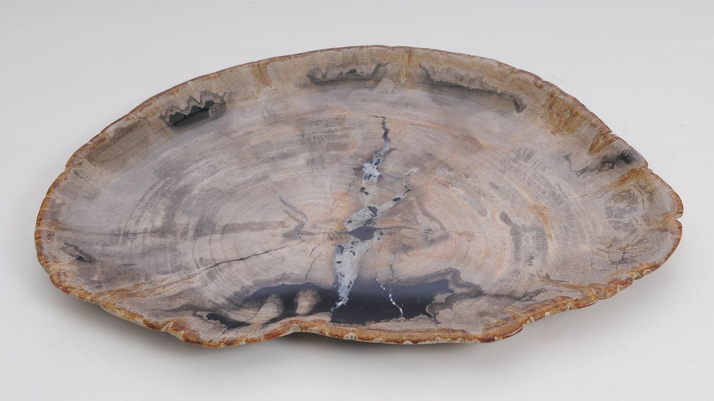 Bord versteend hout 60141 - Afbeelding 2