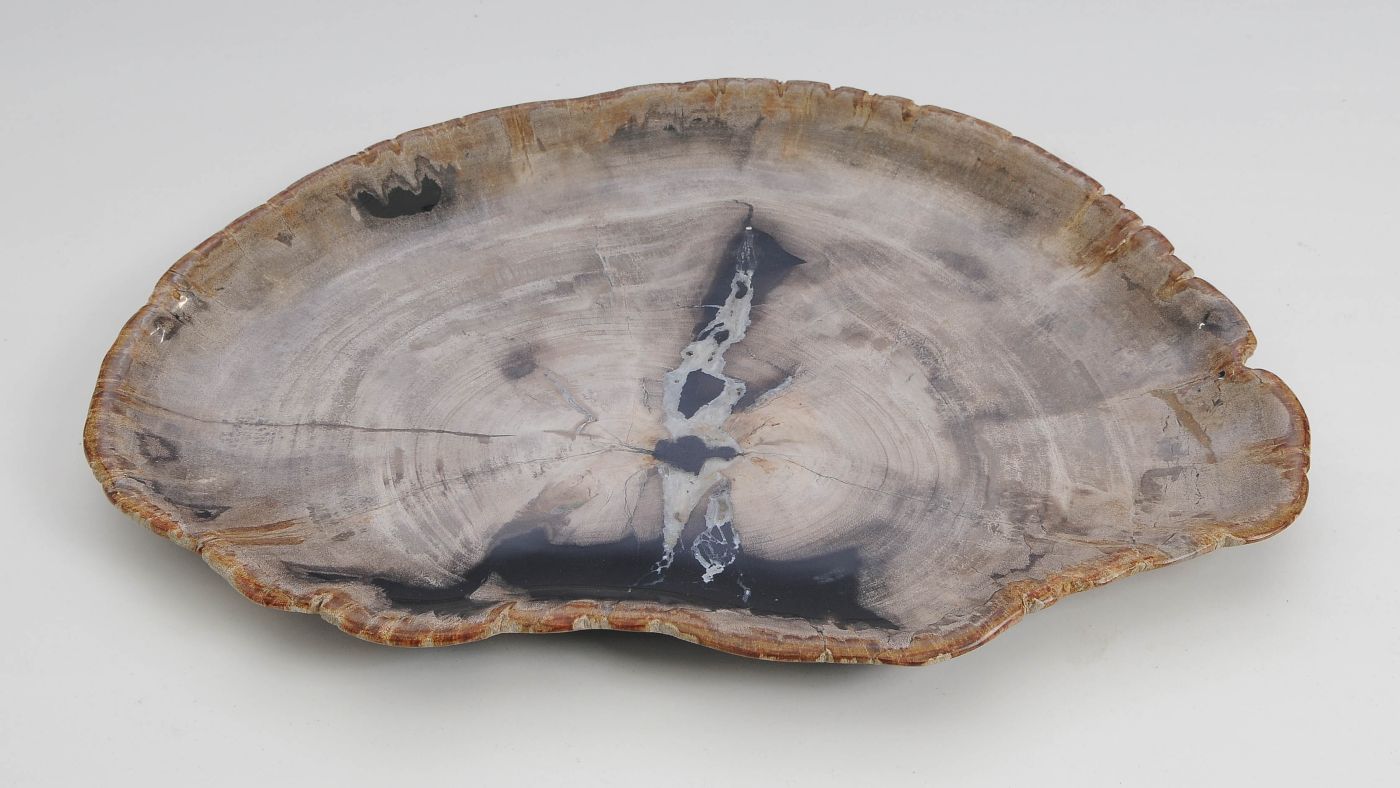 Bord versteend hout 60143 - Afbeelding 3