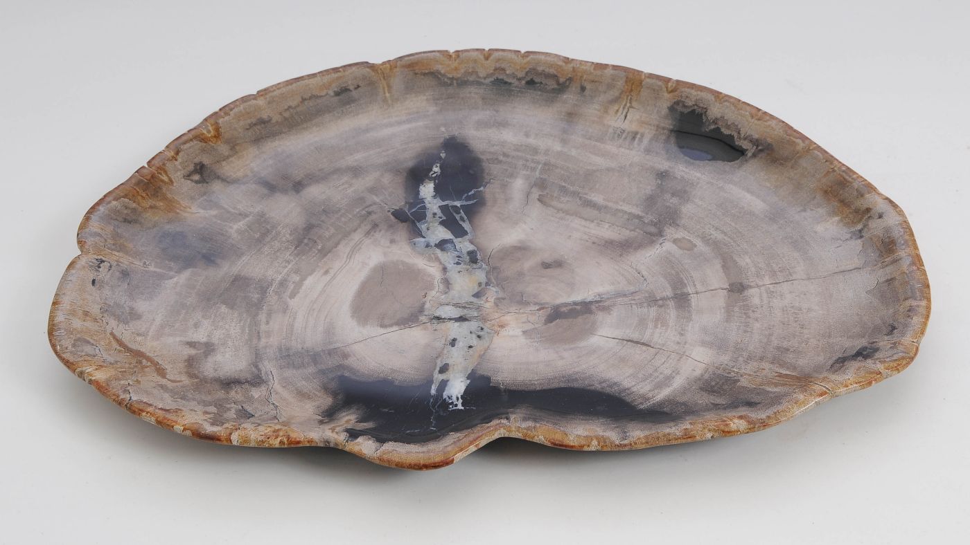 Bord versteend hout 60144 - Afbeelding 3