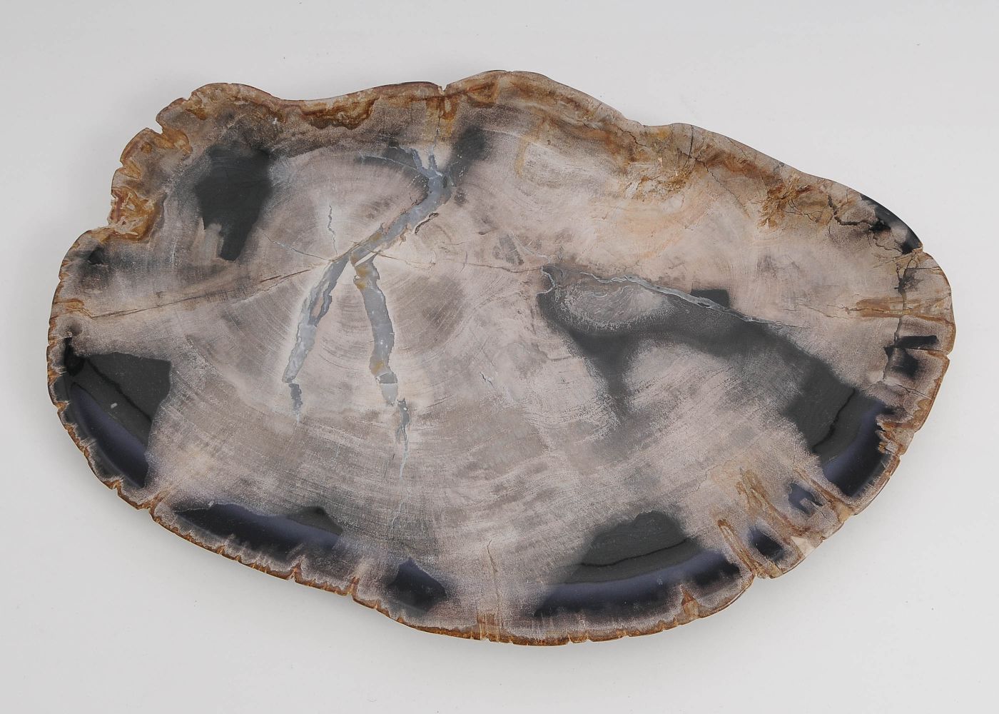 Bord versteend hout 60145