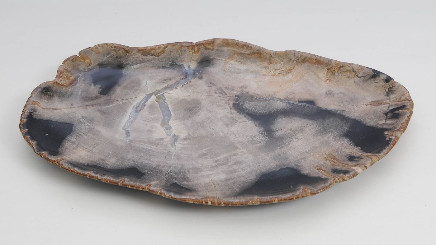 Bord versteend hout 60145 - Afbeelding 3