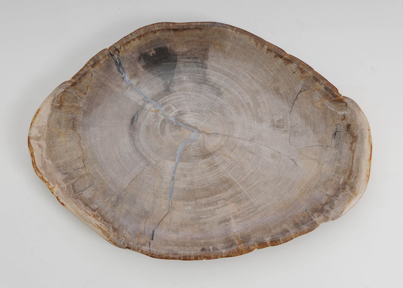 Bord versteend hout 60146