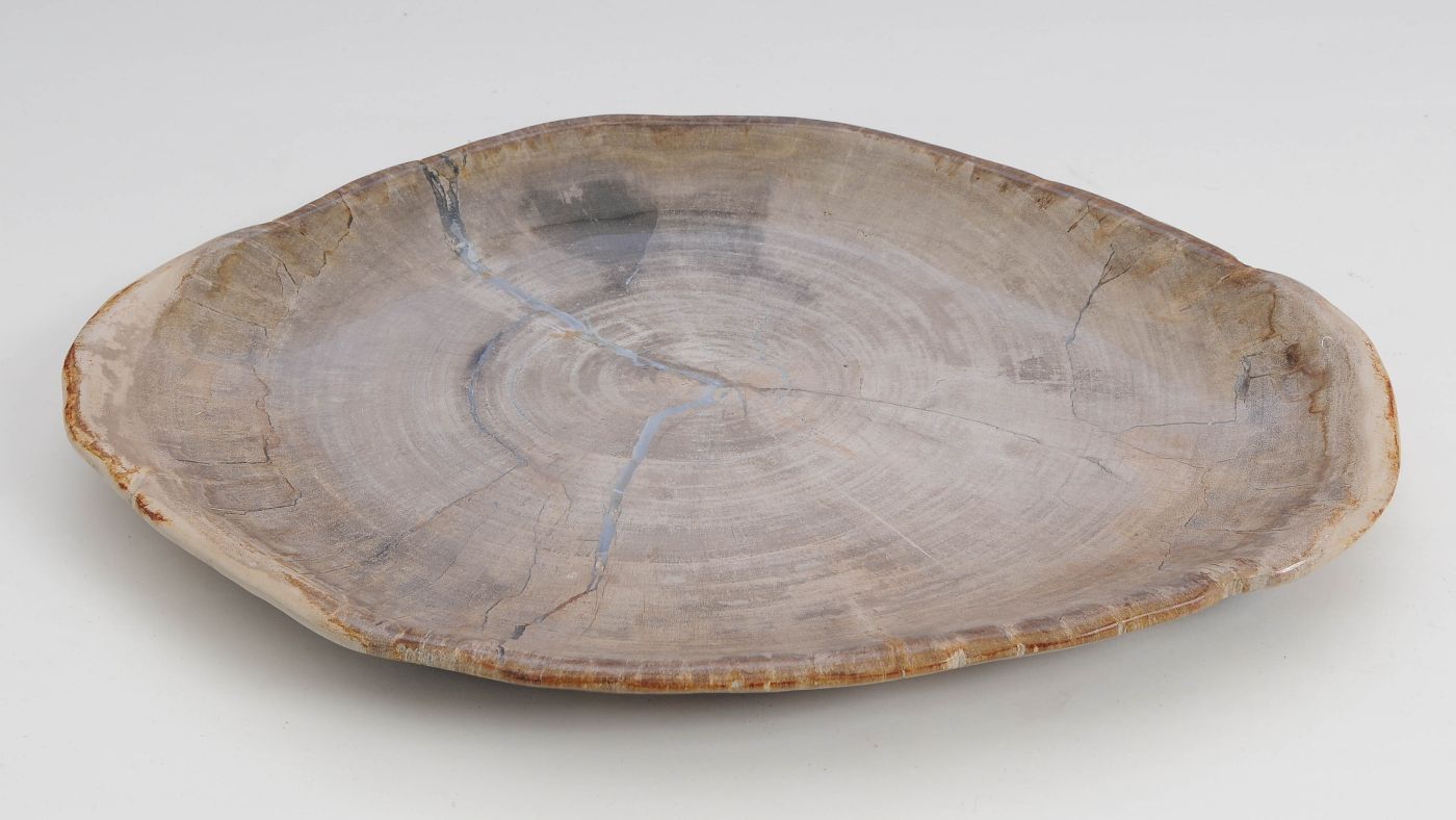 Bord versteend hout 60146 - Afbeelding 3