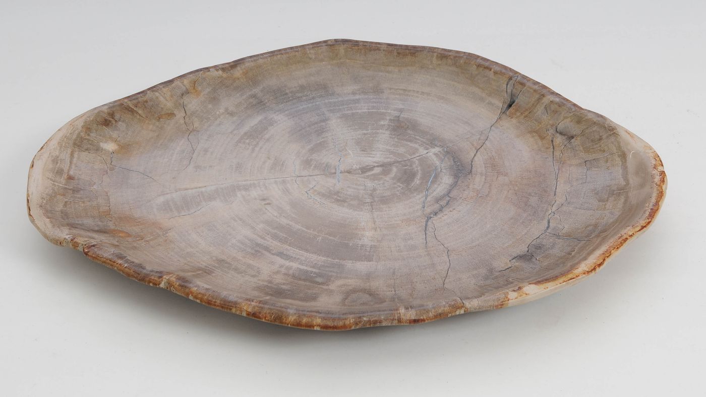 Bord versteend hout 60151 - Afbeelding 3