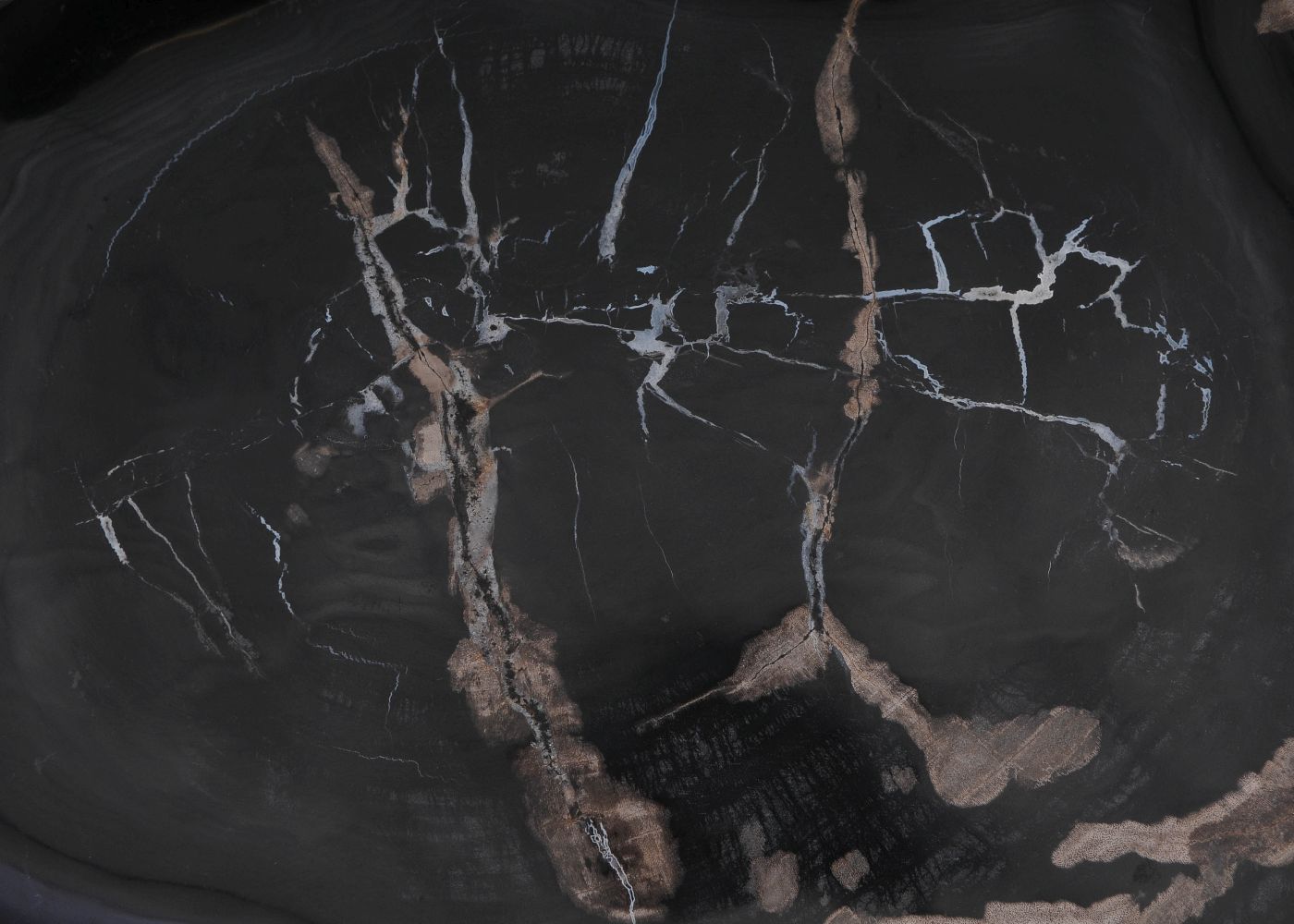 Bord versteend hout 60152 - Afbeelding 2