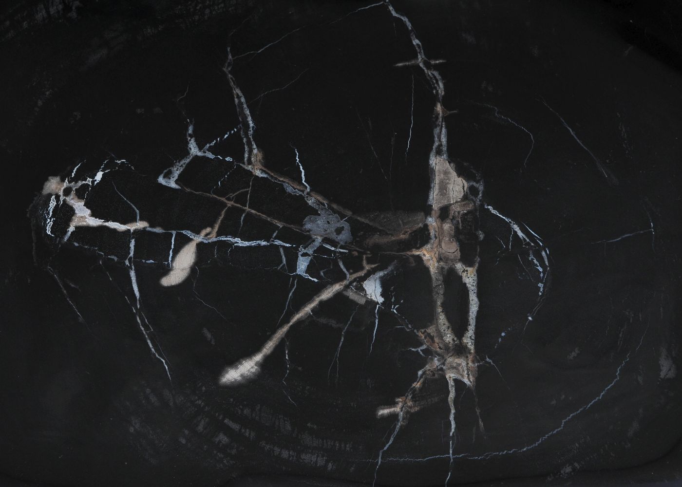 Bord versteend hout 60153 - Afbeelding 2