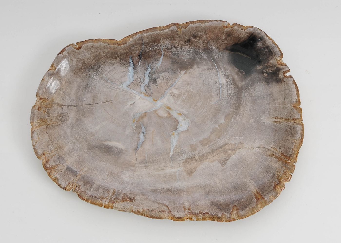 Bord versteend hout 60154