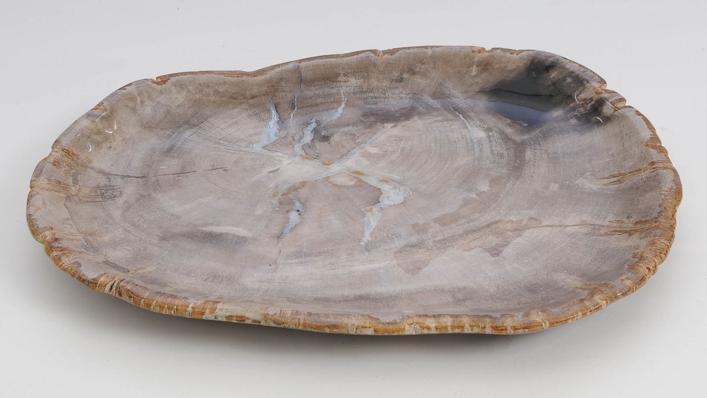 Bord versteend hout 60154 - Afbeelding 3