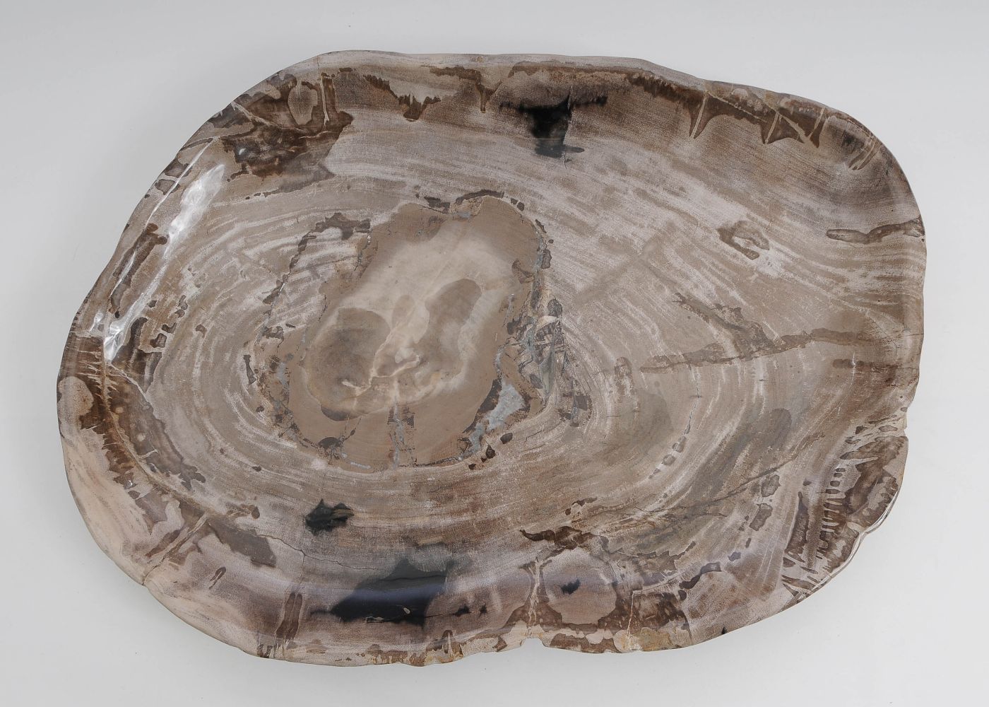 Bord versteend hout 60157